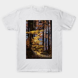 autumn in Forest T-Shirt